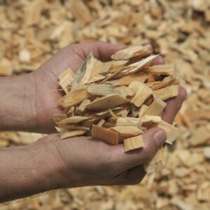 PULP WOOD CHIPS